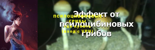 2c-b Карпинск