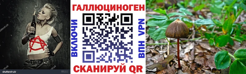 Псилоцибиновые грибы Magic Shrooms  Купить где  Гаврилов Посад 